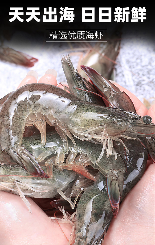 大虾鲜活速冻海虾基围虾海鲜水产冻虾青岛对.